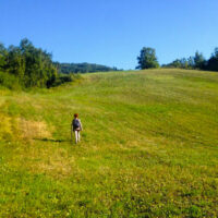 Camping camminate