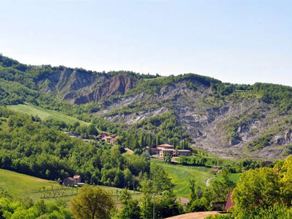 Ca del Toc - Gombola Ca del Toc - Gombola