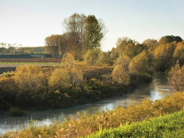 Riserva Secchia Riserva Secchia
